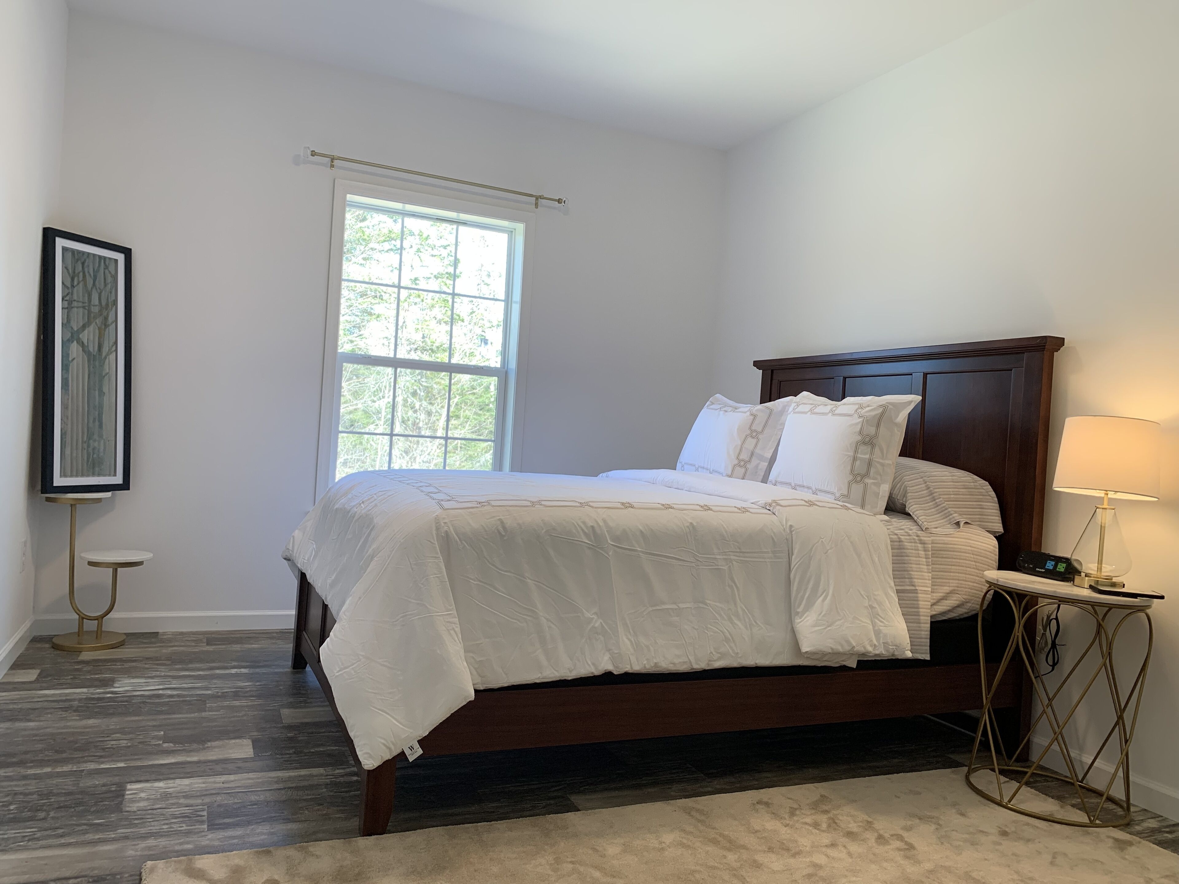 Golden Lantern @ Acadia National Park