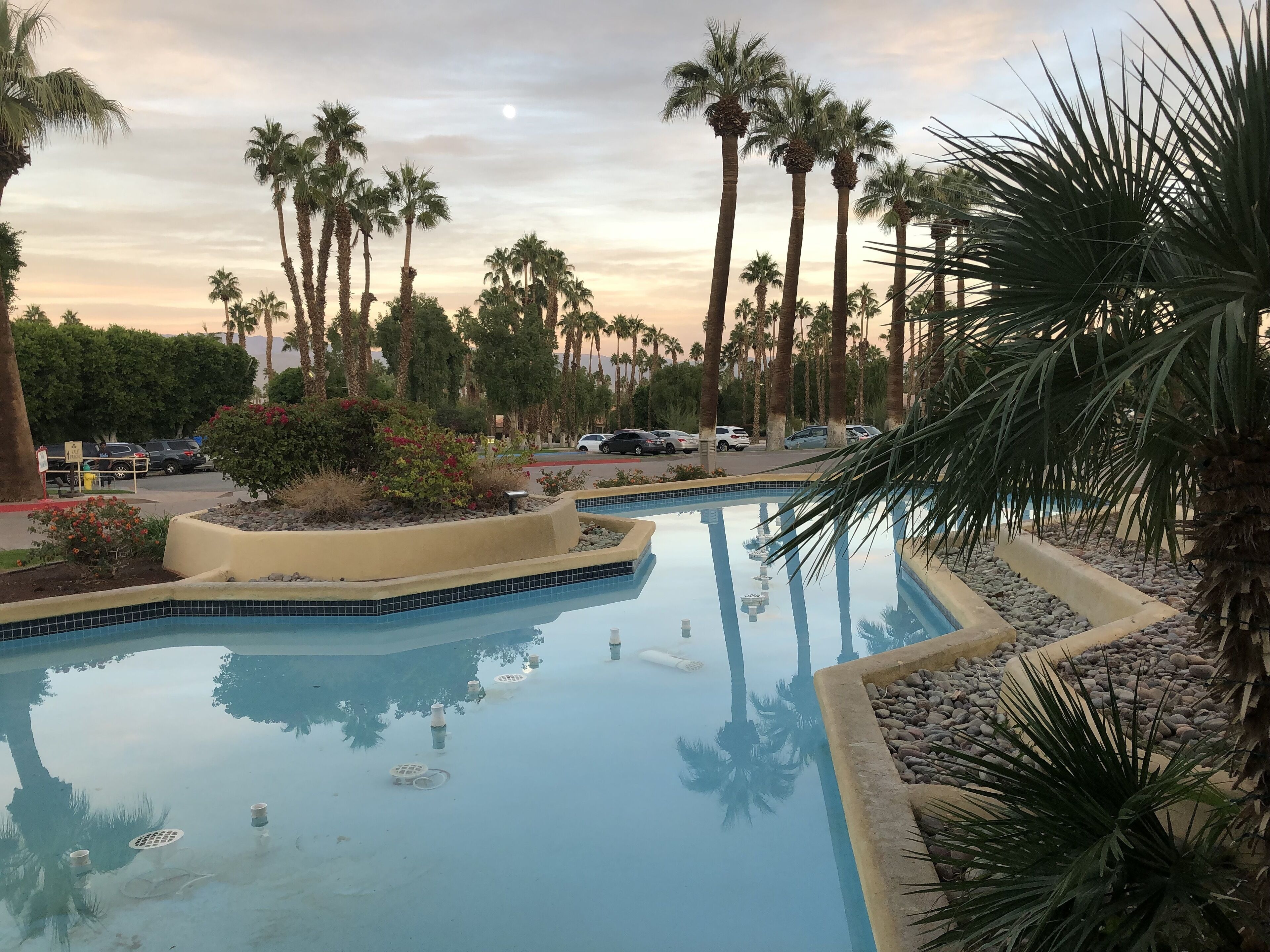 A swimming pool with clear water, surrounded by palm trees and a landscaped area with rocks and plants.