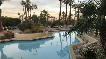 A swimming pool with clear water, surrounded by palm trees and a landscaped area with rocks and plants.