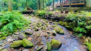 Un ruisseau de forêt bordé de rochers et de fougères, et un bâtiment en bois avec un balcon en arrière-plan.
