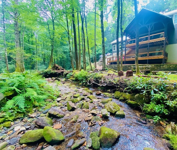 A forest stream with rocks and ferns, and a wooden building with a balcony in the background.
