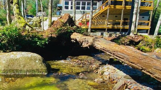 Un ruisseau limpide, parsemé de rochers et traversé par un pont en bois, entouré d’arbres et bordé d’un bâtiment doté d’un balcon.