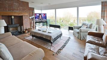 Flatskjerm-TV, peis, Netflix og DVD-spiller