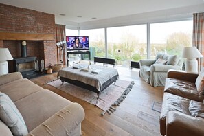 Flatskjerm-TV, peis, Netflix og DVD-spiller