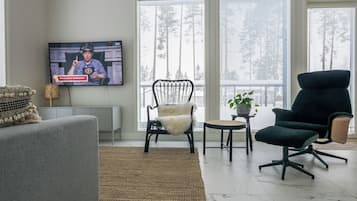 Olohuoneessa on televisio, harmaa sohva, valkoisella tekoturkiksella päällystetty musta tuoli, tummanvihreä tuoli ja pieni pöytä, jonka päällä on kasvi.