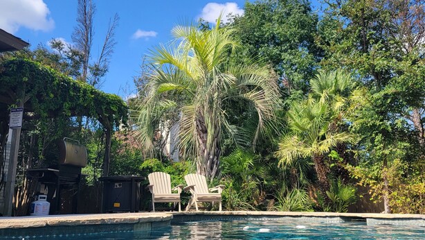 Una piscina azul cristalina rodeada de abundante follaje y árboles.