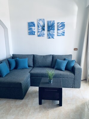 TV, DVD player, books