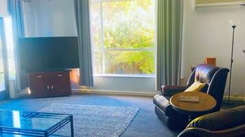 Älytelevisio, takka, stereot