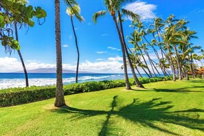 On the beach - Island Views Oceanfront 2 Master Bedrooms, Cold AC (Lahaina)