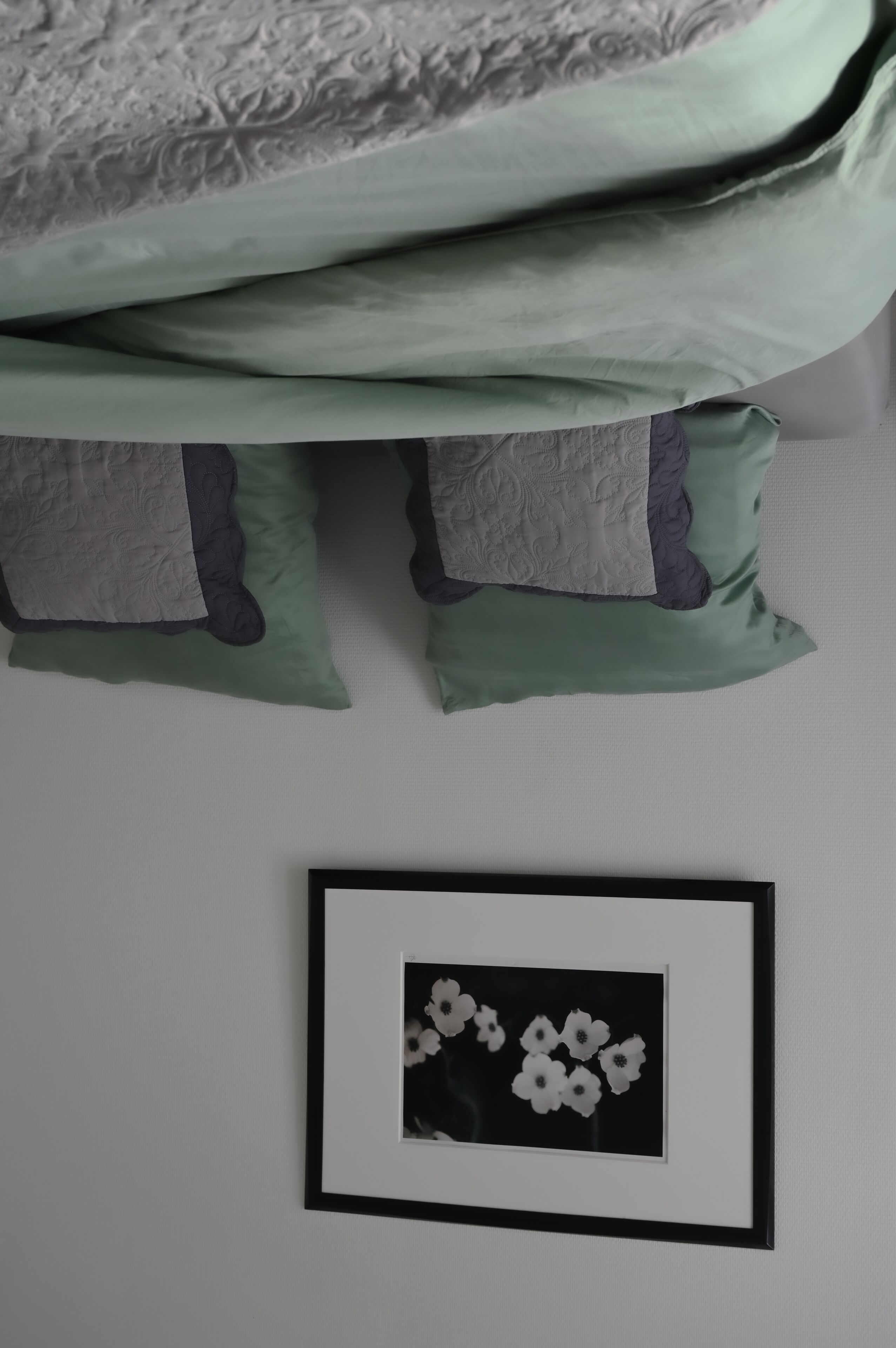 Cottage under the lime tree