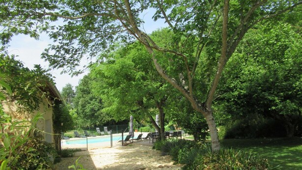 Ein Poolbereich mit Liegestühlen und Sonnenschirmen, umgeben von Bäumen und Pflanzen.