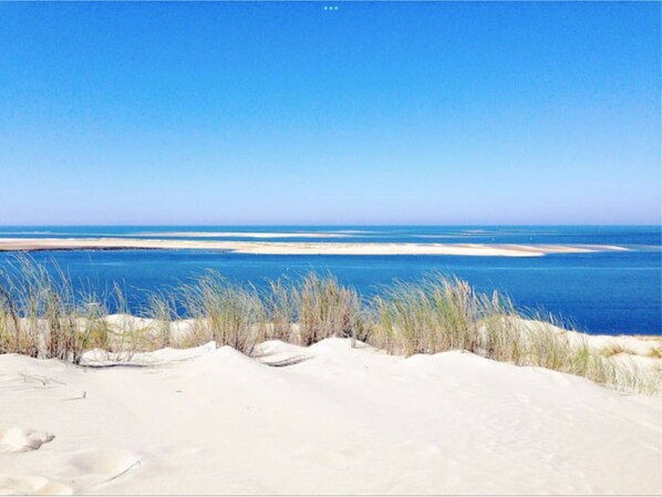 Nära stranden