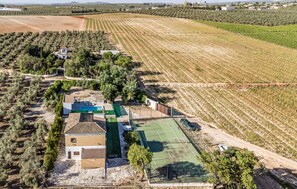 Terrain de sport