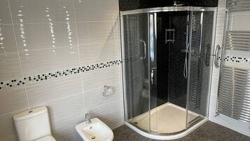 Combined shower/bathtub, hair dryer, bidet, towels