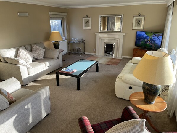 Smart TV, fireplace, DVD player, computer monitors