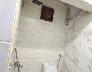 Combined shower/bathtub, jetted bath, bidet