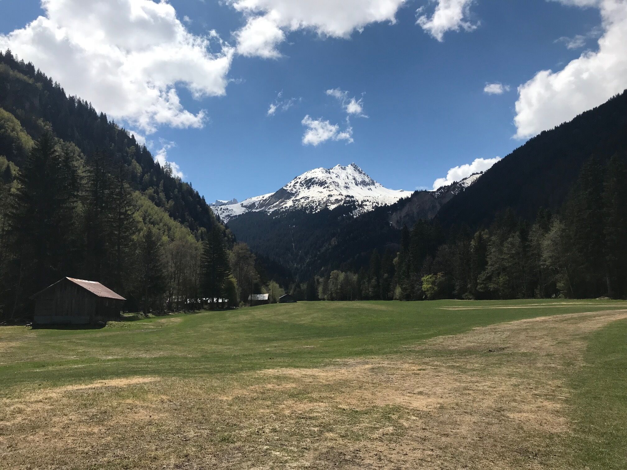 A mountain landscape with a grassy field, a small building, and dense forests.