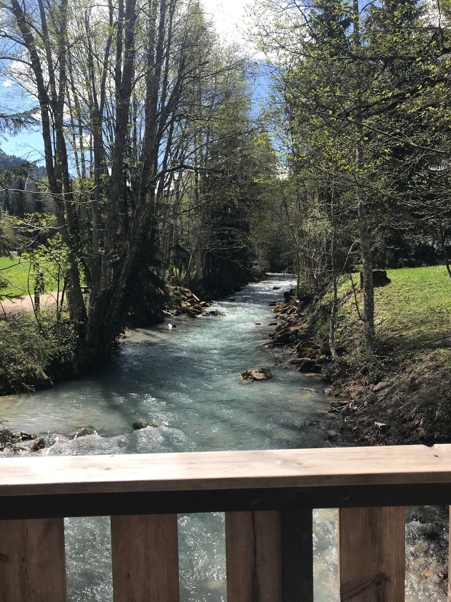 A river flowing through a forested area with a wooden railing in the foreground.