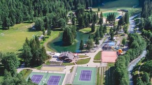 Vista aèria d'un complex esportiu amb diverses pistes de tennis, envoltat per un bosc dens i un riu.
