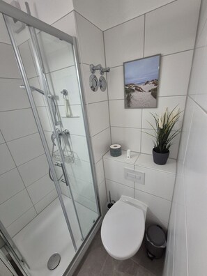 Shower, hair dryer, soap, toilet paper