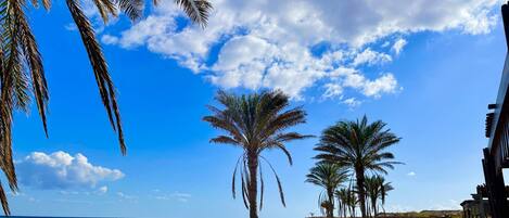 En la playa, sillas reclinables de playa