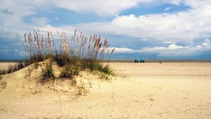 Una playa arenosa con dunas y vegetación escasa.