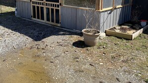 A small, single-story building with a covered porch, a large window, and a potted plant. - Working farmette at converted warehouse in the Allegany Mountains. (Allegany)