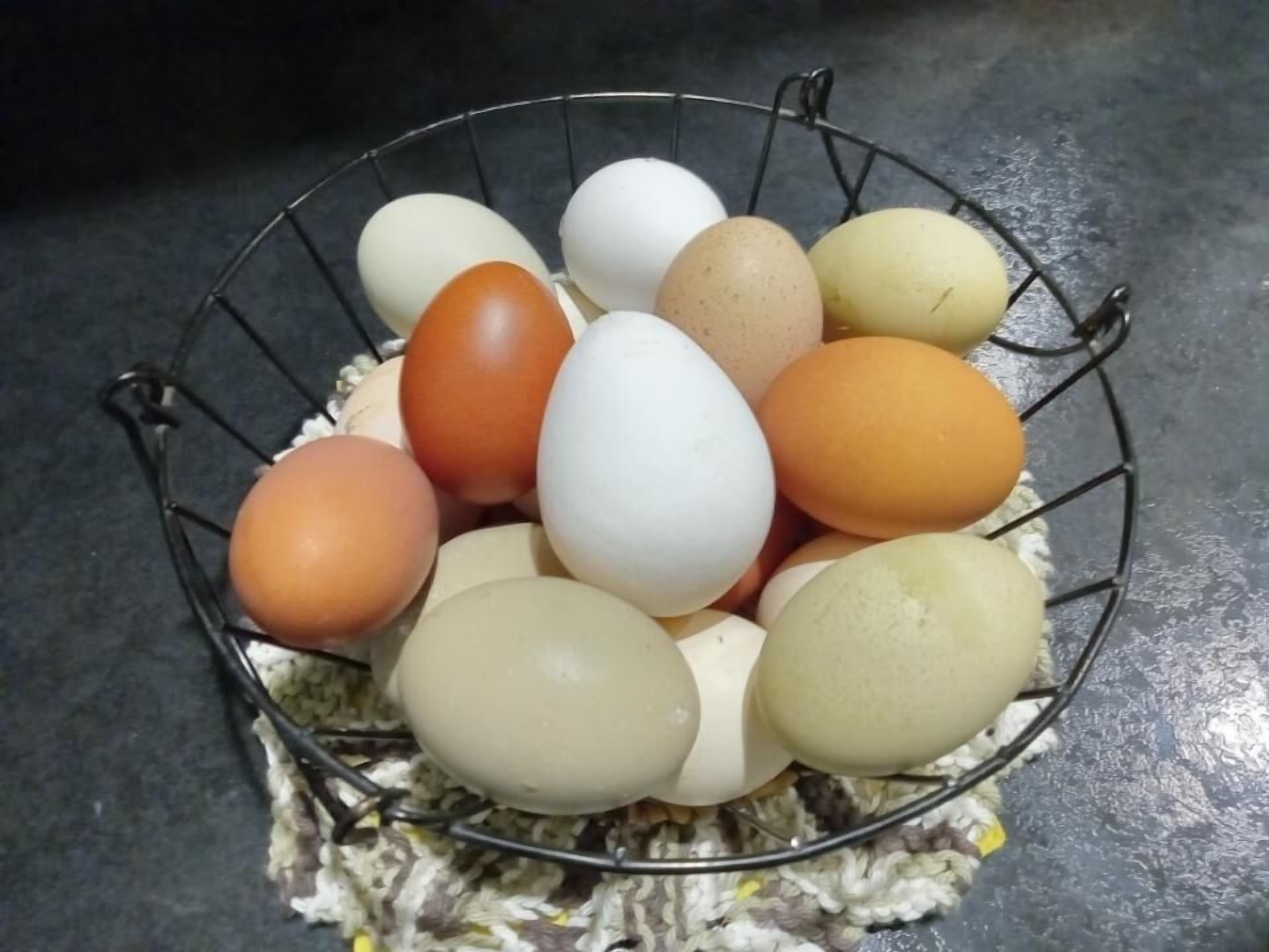 A wire basket containing various colored eggs.