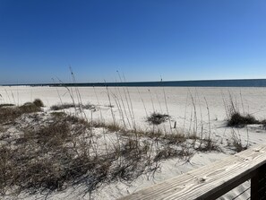 On the beach