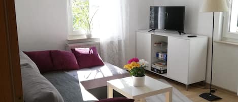 Téléviseur, livres