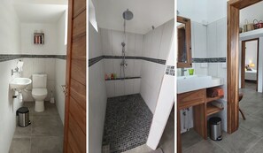 Ducha, secador de pelo, papel higiénico
