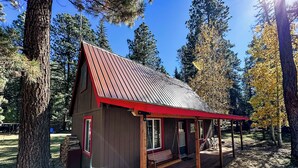 Eine Holzhütte mit einer Holzterrasse und einem roten Dach, umgeben von hohen Bäumen.