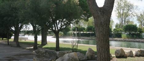 Property grounds