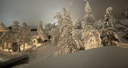 Basecamp at Mammoth Creek