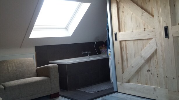Een slaapkamer in een loft met dakraam, schuifdeur, badkuip en een bank.
