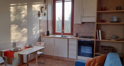 Colorful apartment on the 1st floor of a farmhouse among the olive trees 3 km from the sea