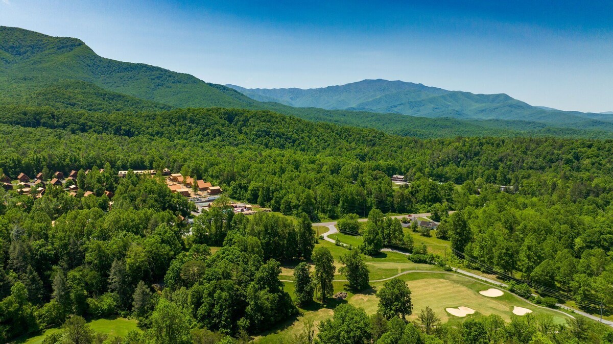Photo 111 of Family & Pet Friendly Mountain Cabin with Hot Tub, Game Room & Community Pools