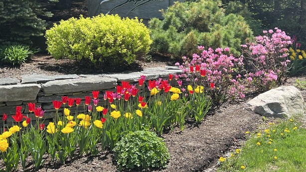 A stone sign with "Slope Studio" engraved, surrounded by a garden with various flowers and shrubs. - Extraordinary Stratton Ski On/Ski Off Home (Stratton)