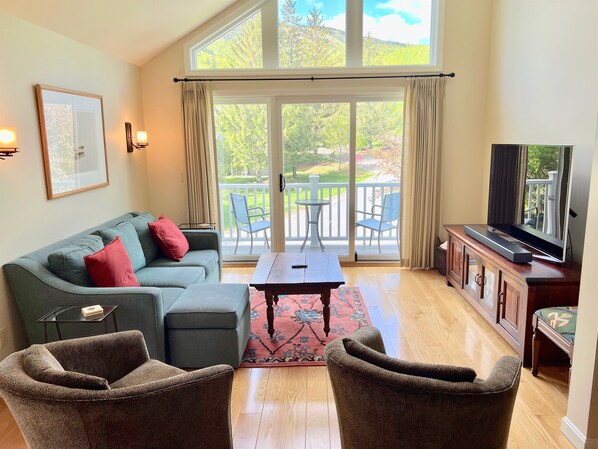 Smart TV, fireplace, books