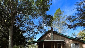 A rustic cabin with a porch, surrounded by trees and a clear sky. - Trails Head Cabin (Rock Hill)