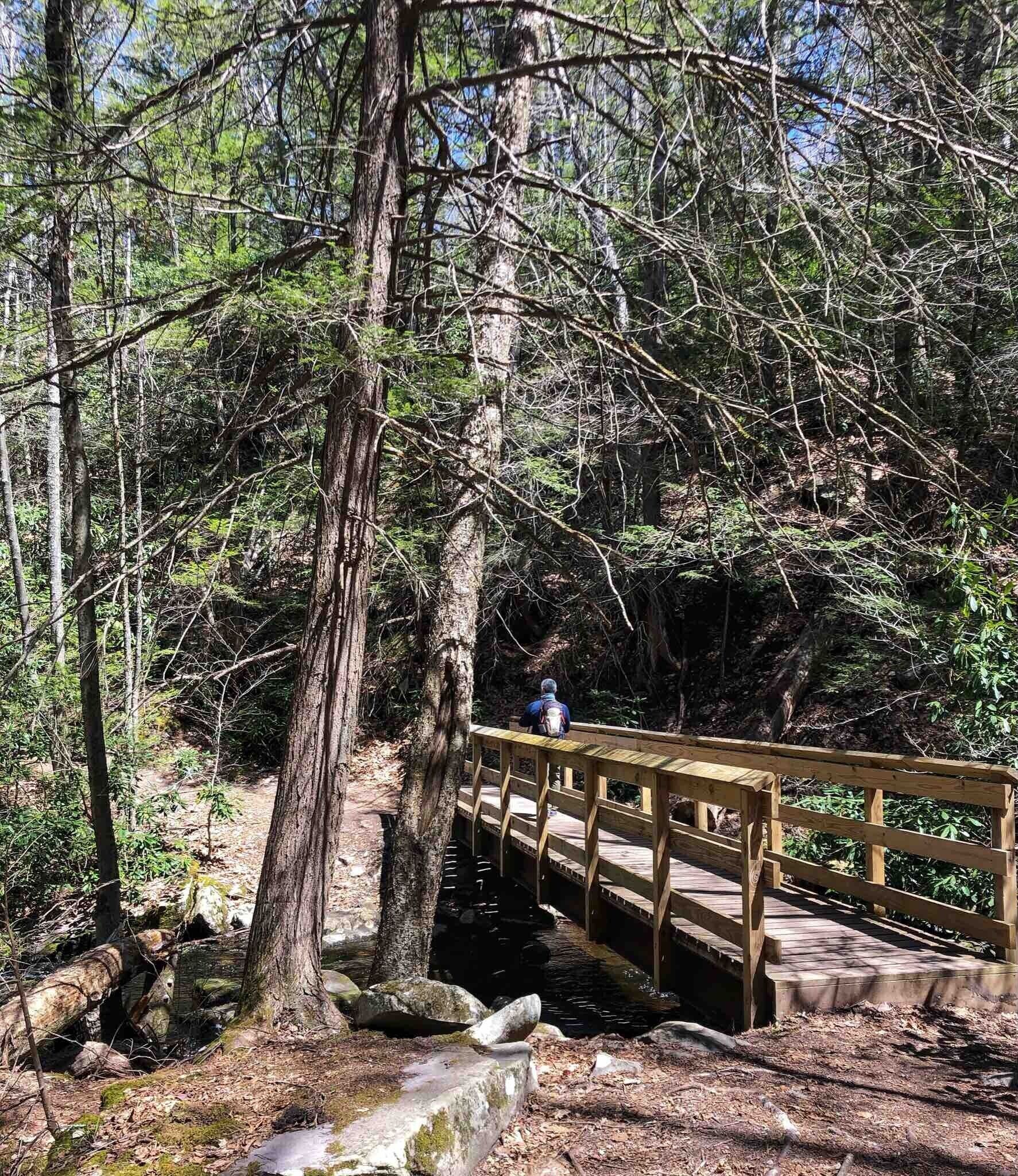 Un puente de madera en un área boscosa con una persona de pie sobre él.