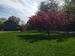 Property grounds - Fully Renovated rural cottage in the perfect spot! (Watkins Glen)