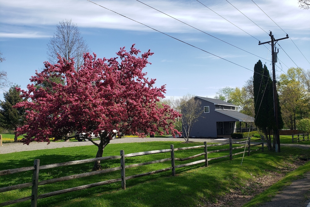 Fully Renovated rural cottage in the perfect spot!