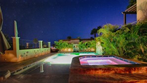 Un espace piscine nocturne avec un jacuzzi, entouré de palmiers et délimité par une clôture.