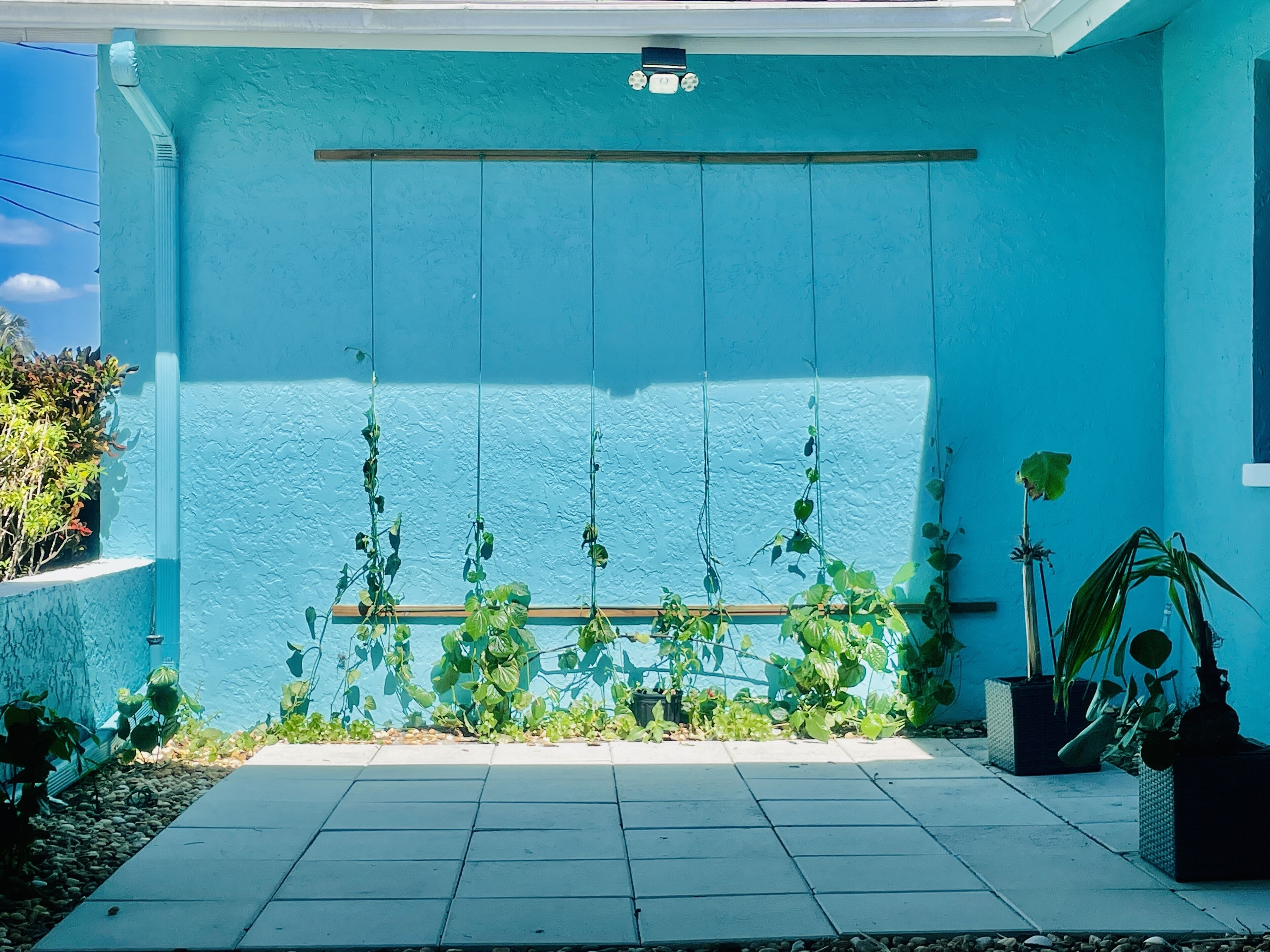 A blue exterior wall with a window and a door.