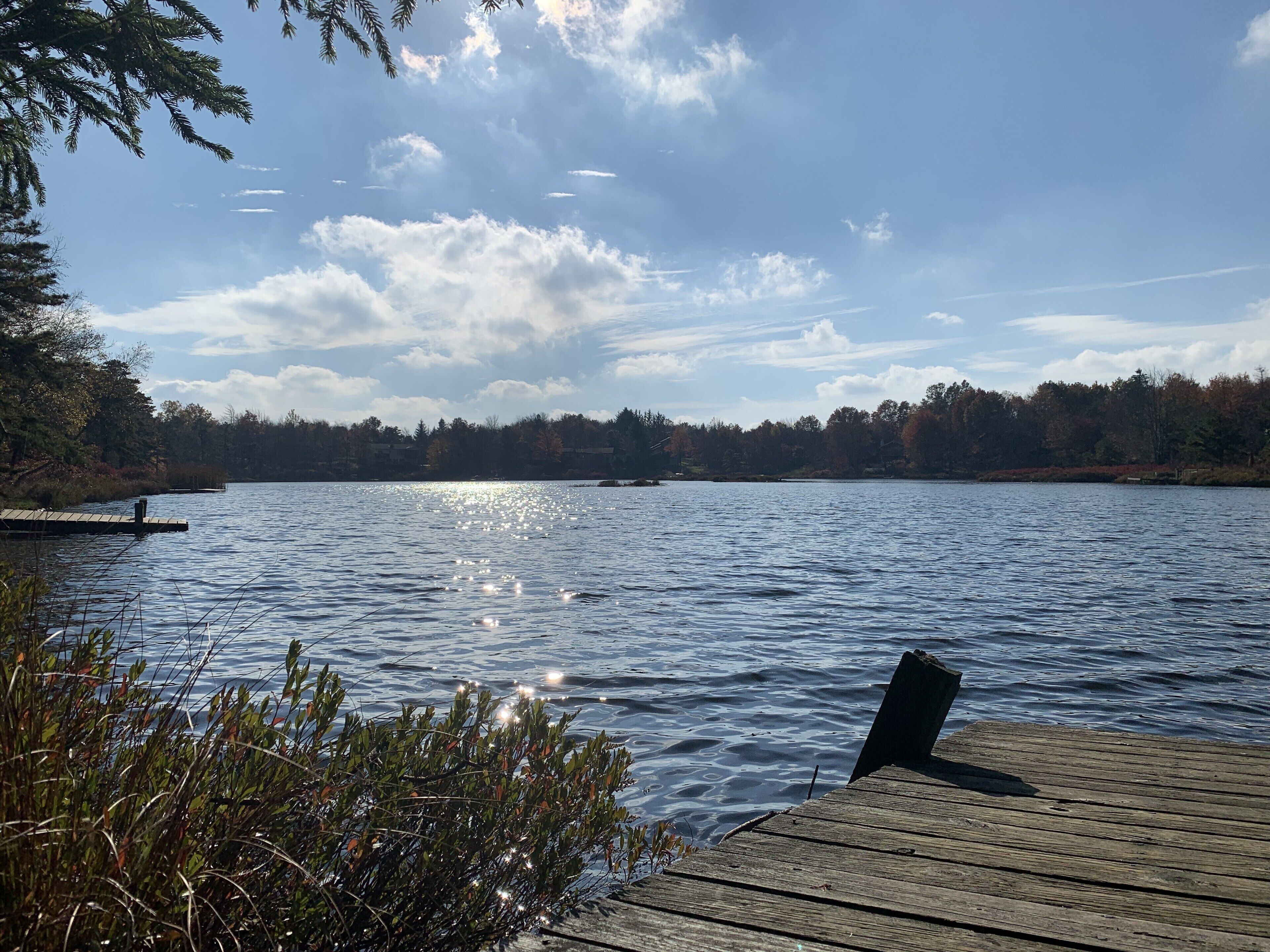 Un muelle de madera se extiende sobre un lago tranquilo con una orilla boscosa al fondo.