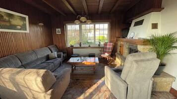 Télévision, cheminée, lecteur de DVD, table de tennis de table