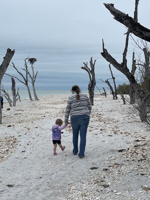 Sun-loungers, beach towels