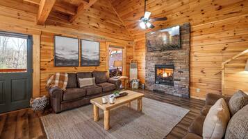 Smart TV, fireplace, video games, books