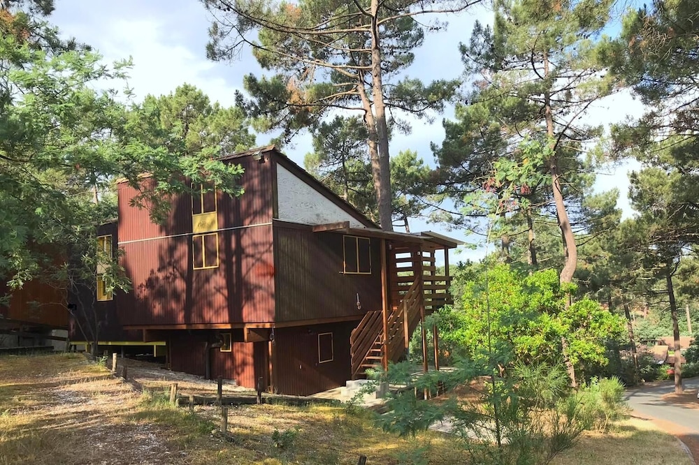 Pinecone Chalet